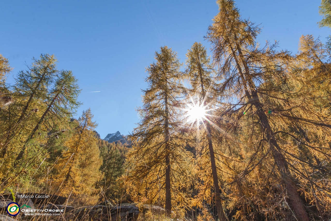 Due giorni tra i colori Orobici-19.JPG